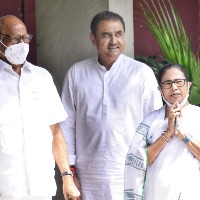 Presidential Poll: After Pawar's firm 'no', NCP thanks all Oppn parties