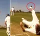 greatest dropped catch ever in cricket history