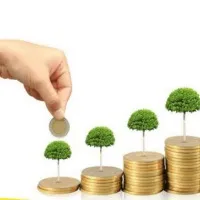 PPF Scheme makes crorepati with savings