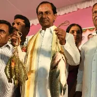 ఆత్మగౌరవంతో ఆర్థికంగా ఎదుగుతున్నబీసీలు