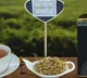 Rare Assam tea sold for Rs 1 lakh per kg