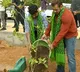 Actor Salman Khan urges fans to plant trees