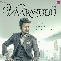 vijay new movie film titled varasudu