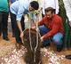 bollywood hero salman khan participated in green india challenge in ramoji film city
