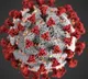 Telangana corona update