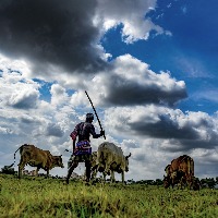 SW Monsoon to cover entire India by July 6: IMD