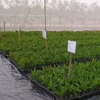 రైతులకు పండుగలా మారిన రాష్ట్ర వ్యవసాయరంగం