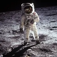 give us our moon dust and cockroaches back nasa tells auction company