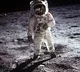 give us our moon dust and cockroaches back nasa tells auction company