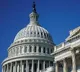 Democrats create 'history' by passing new gun laws in both houses of Congress