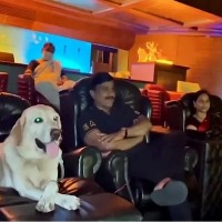 Mining baron Janardhana Reddy watches '777 Charlie' with pet dog