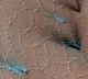 Bizarre polygons are cracking through the surface of Mars