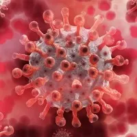 11739 New Covid Cases In India 25 Virus Related Deaths
