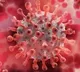 11739 New Covid Cases In India 25 Virus Related Deaths
