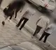 gang rape victim identified all 6 accused