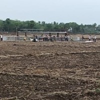 Chandrababu postpones TDP Mini Mahanadu in Gudivada