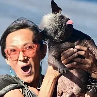 Mr Happy Face who received the Worlds Ugliest Dog award