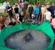 World biggest fresh water fish found in Mekong river