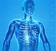 human body replace cells every seven years