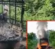 five women charred to death in Sri Satya Sai dist