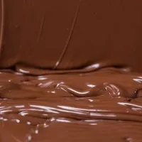 Salmonella bacteria found in World largest chocolate factory in Belgium