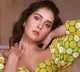 Pakka Commercial Movie Update