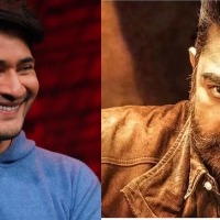 Kamal Haasan's 'Vikram' a modern cult classic, says Mahesh Babu