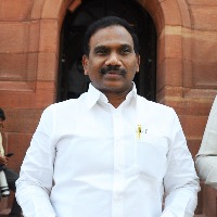 Don't force party to revive separate Tamil Nadu demand: A Raja