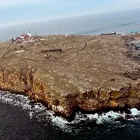 Snake Island again in the hands of Ukraine Do you know how important this island is