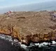 Snake Island again in the hands of Ukraine Do you know how important this island is