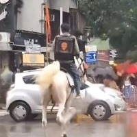 Swiggy looking for unknown delivery man riding horse who went viral