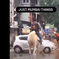 Swiggy offers reward for info on their accidental brand ambassador the delivery man on horse
