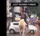 Swiggy offers reward for info on their accidental brand ambassador the delivery man on horse
