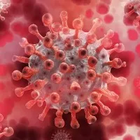 chinas new covid outbreaks put millions under lockdown