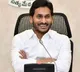 YSRCP plenary to be mega affair, about 4 lakh to attend: Party MP