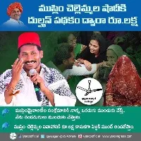 ap high court asks state government what are the reasons to stop dulhan scheme