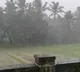 Huge rains lashes coastal Karnataka
