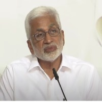 Expected 70,000 but 1.6 lakh delegates attending YSRCP plenary: MP Vijayasai