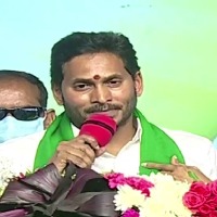 People, cadre support enough for me unlike Chandrababu: CM Jagan