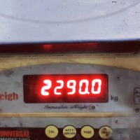 Gold seized from passenger at Hyderabad airport