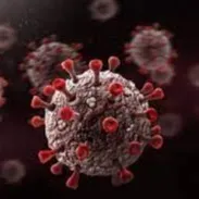 Another 608 corona positive cases in Telangana