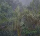 Heavy to Very Heavy Rainfall Warning during 5 days for Telangana State