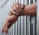 Forest officer sent to jail for 8 years in sexually abusing case