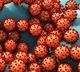 India reports 18257 new Covid19 cases
