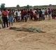 10 year old boy swallowed by giant crocodile in MPs Chambal river