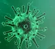 covid virus may survive for 30 days on refrigerated frozen meat