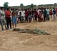 Crocodile Was Captured In Belief That Boy Was Alive