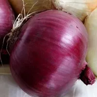 Red onions or white onions The healthier variety is