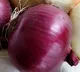 Red onions or white onions The healthier variety is
