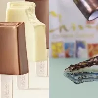 Chinas Rs 800 ice cream does not melt when exposed to fire raises food safety concerns